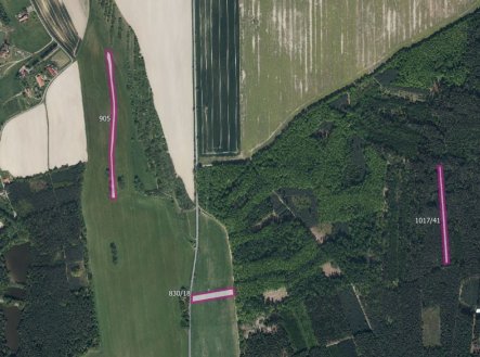 Prodej pozemku, trvalý travní porost, 19 893 m²