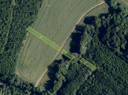 Prodej pozemku, zemědělská půda, 13 193 m²