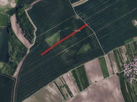 Prodej pozemku, zemědělská půda, 10 445 m²
