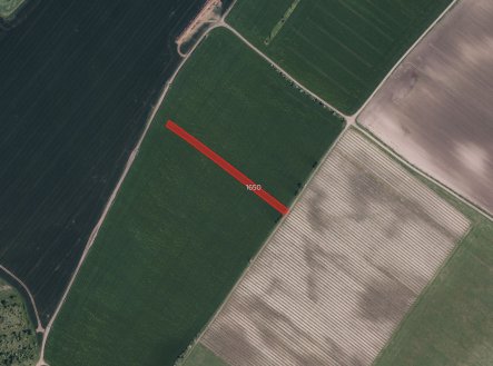 Prodej pozemku, zemědělská půda, 10 445 m²