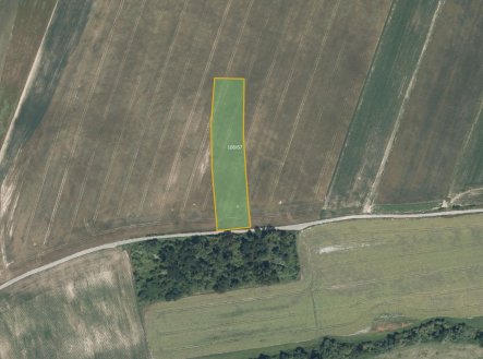 Prodej pozemku, zemědělská půda, 3 086 m²