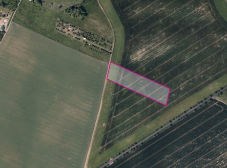 Prodej pozemku, zemědělská půda, 10 947 m²