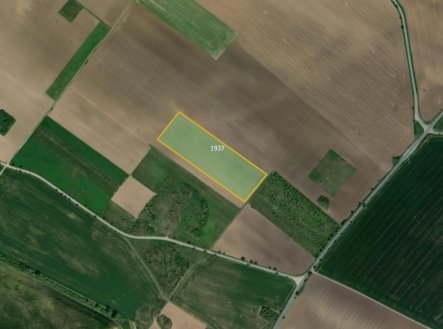 Prodej pozemku, zemědělská půda, 25 300 m²