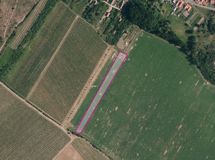 Prodej pozemku, zemědělská půda, 7 141 m²