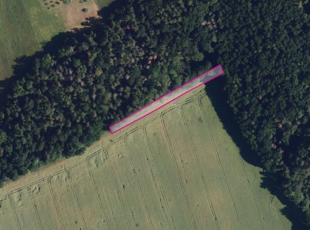Prodej pozemku, zemědělská půda, 9 706 m²