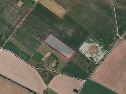 Prodej pozemku, zemědělská půda, 12 769 m²