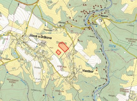 Prodej pozemku, trvalý travní porost, 12 382 m²