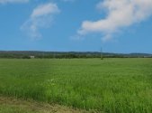 Prodej pozemku pro komerční výstavbu, 10 974 m²