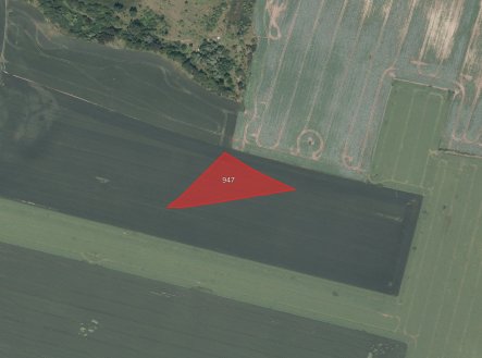 fotografie | Prodej - pozemek, zemědělská půda, 2 646 m²