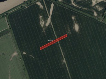 Prodej pozemku, trvalý travní porost, 12 437 m²