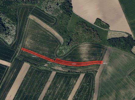 Prodej pozemku, zemědělská půda, 15 394 m²