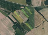 Prodej - pozemek, zemědělská půda, 9 996 m²