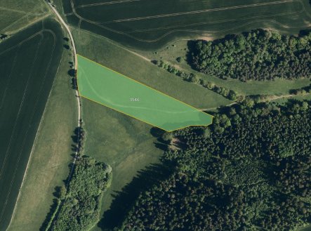 fotografie | Prodej - pozemek, trvalý travní porost, 7 782 m²