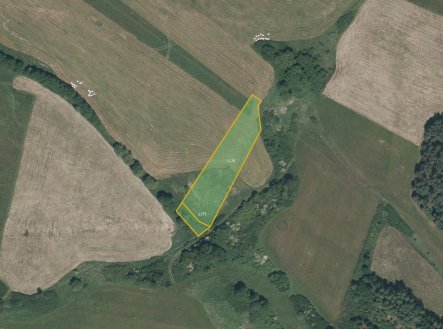 Prodej pozemku, trvalý travní porost, 13 638 m²