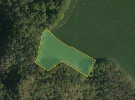 Prodej pozemku, zemědělská půda, 20 905 m²