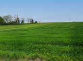 Prodej pozemku pro komerční výstavbu, 10 581 m²