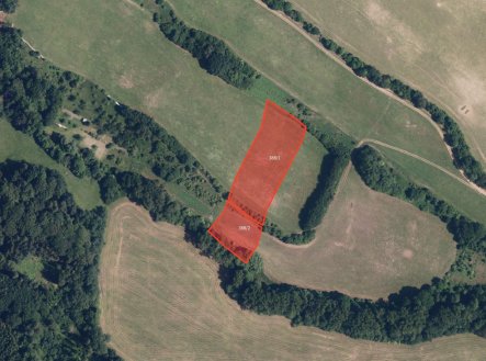 Prodej pozemku, trvalý travní porost, 15 860 m²