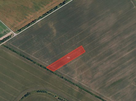 Prodej pozemku, zemědělská půda, 12 121 m²