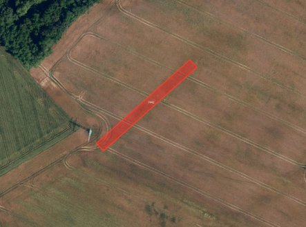 Prodej pozemku, zemědělská půda, 12 121 m²