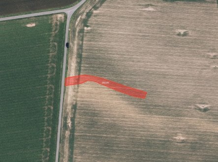 Prodej pozemku, zemědělská půda, 6 317 m²