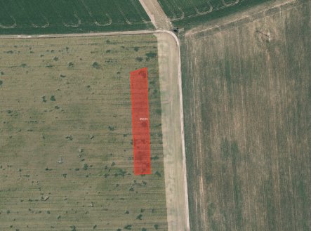 Prodej pozemku, zemědělská půda, 6 317 m²