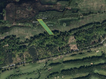 Prodej pozemku, trvalý travní porost, 10 075 m²