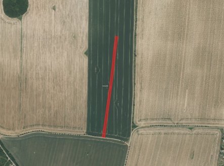 Prodej pozemku, zemědělská půda, 7 399 m²