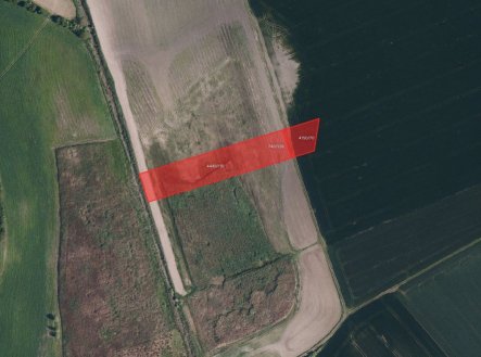 Prodej pozemku, zemědělská půda, 7 145 m²