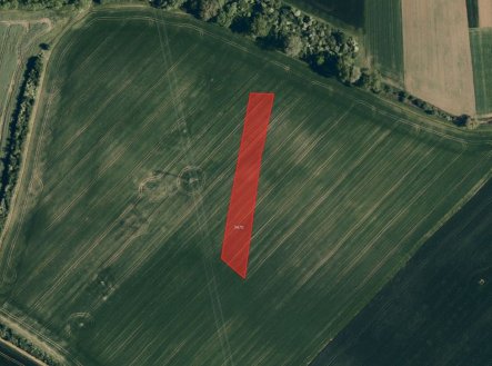 Prodej pozemku, zemědělská půda, 12 129 m²