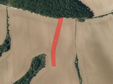 Prodej pozemku, zemědělská půda, 12 129 m²