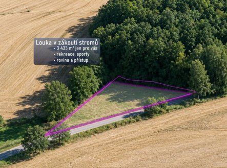 Prodej pozemku, trvalý travní porost, 3 433 m²