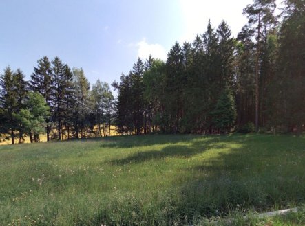 Prodej pozemku, trvalý travní porost, 3 433 m²
