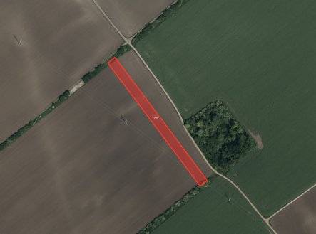 Prodej pozemku, zemědělská půda, 5 963 m²