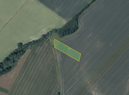 Prodej pozemku, zemědělská půda, 7 095 m²