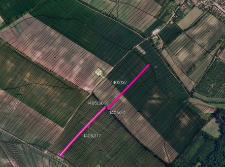 Prodej pozemku, zemědělská půda, 7 861 m²