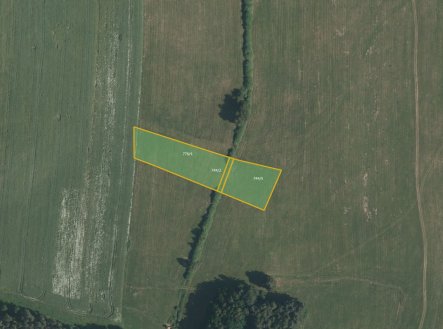 Prodej pozemku, trvalý travní porost, 5 033 m²