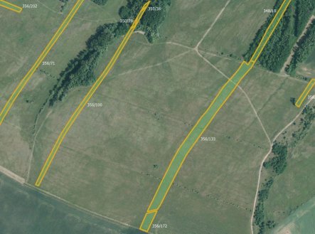 Prodej pozemku, trvalý travní porost, 21 546 m²