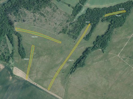 Prodej pozemku, trvalý travní porost, 9 029 m²