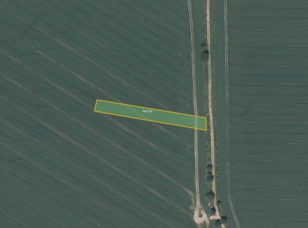Prodej pozemku, zemědělská půda, 11 020 m²