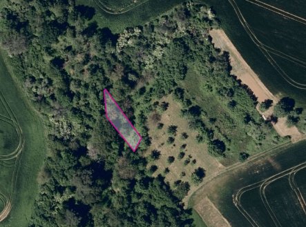 Prodej pozemku, zemědělská půda, 7 416 m²