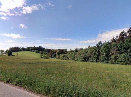 Prodej pozemku, trvalý travní porost, 12 868 m²
