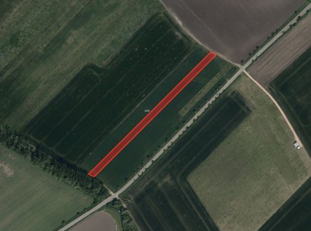 Prodej pozemku, zemědělská půda, 5 658 m²