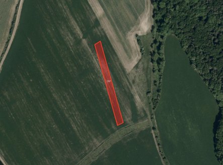 Prodej pozemku, zemědělská půda, 5 658 m²