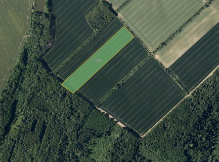 Prodej pozemku, zemědělská půda, 29 548 m²