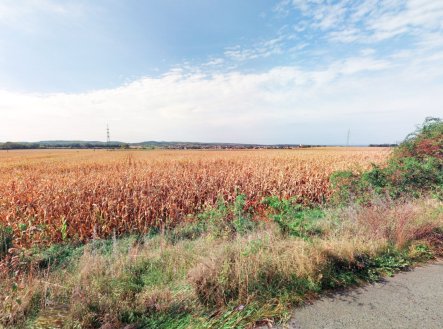 Prodej pozemku, zemědělská půda, 69 111 m²