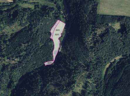 Prodej pozemku, trvalý travní porost, 23 694 m²