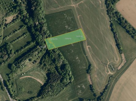 Prodej pozemku, trvalý travní porost, 2 905 m²