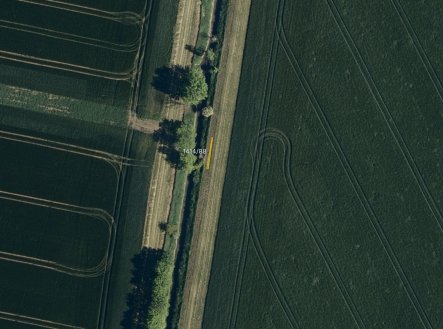 Prodej pozemku, trvalý travní porost, 2 905 m²
