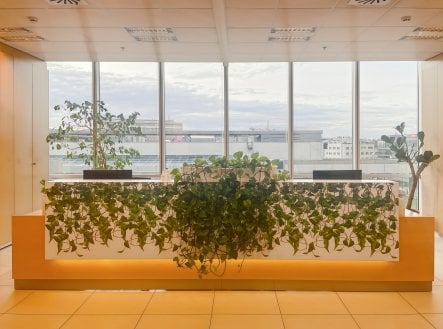 Pronájem kanceláře, 10 m²