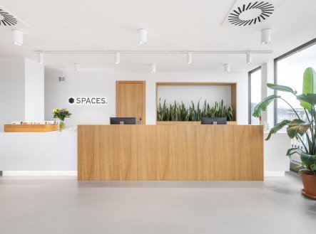 Pronájem kanceláře, 50 m²